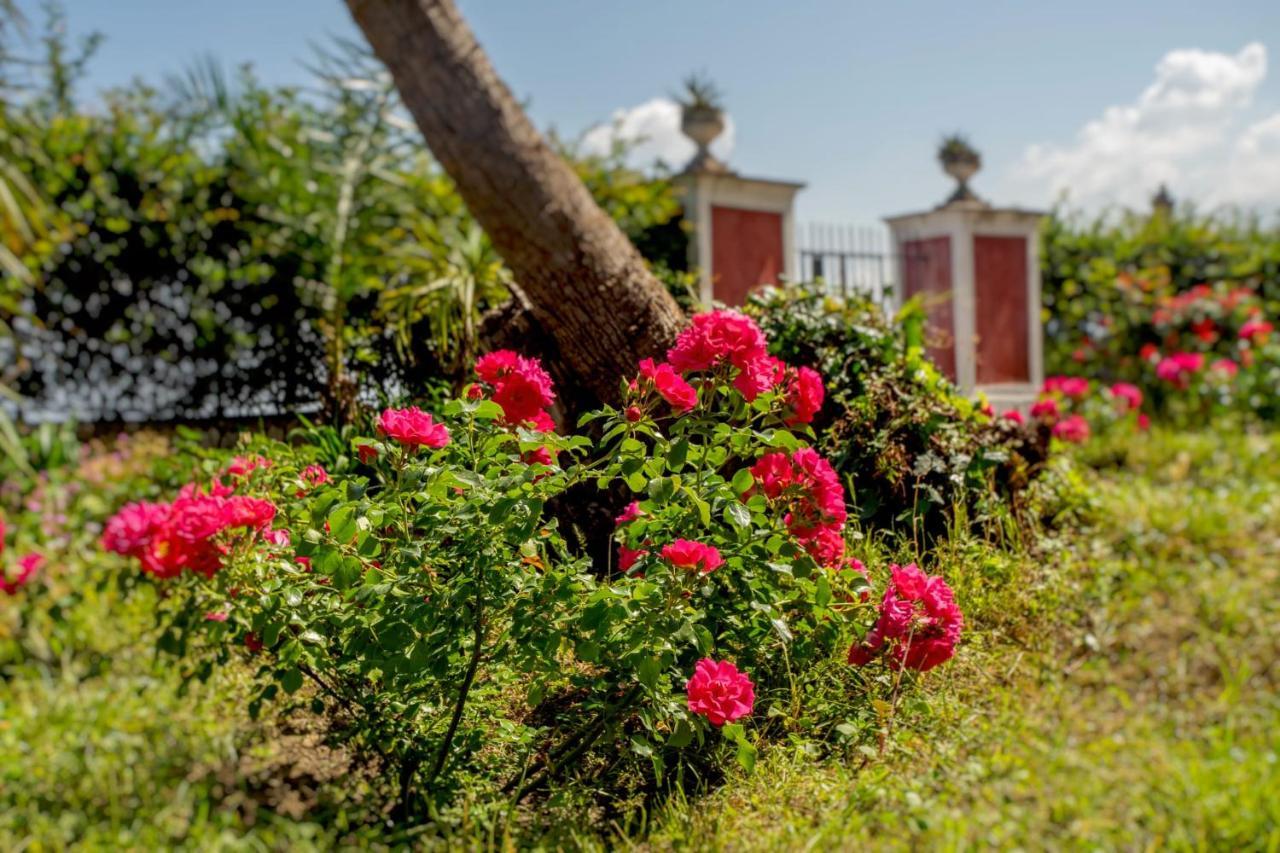 Relais Al Castello Bed and Breakfast Castellammare di Stabia Eksteriør billede